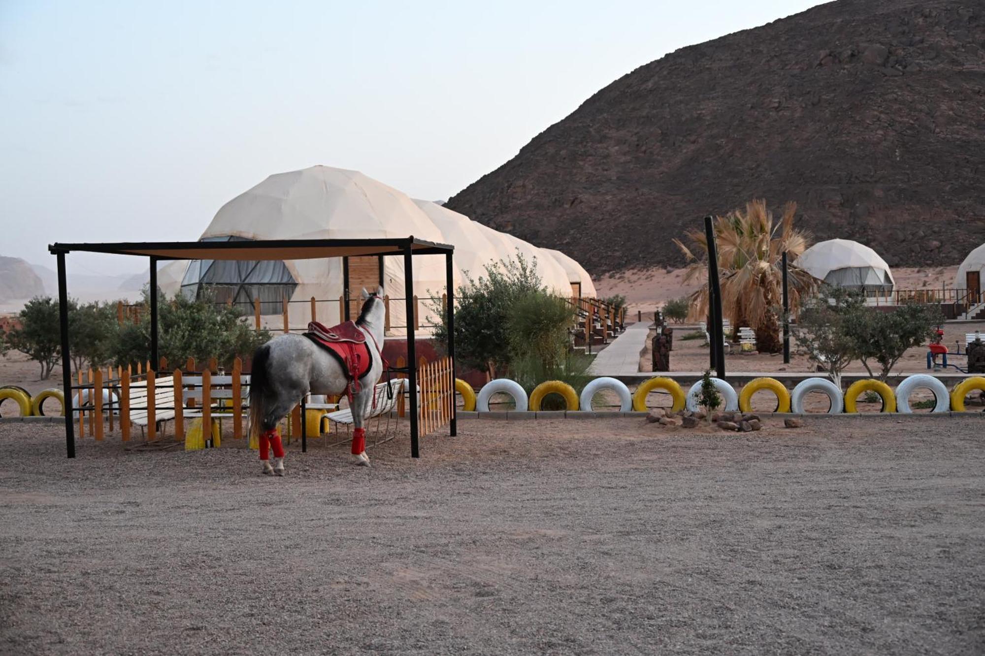 Bilal Luxury Camp Hotel วาดิรัม ภายนอก รูปภาพ